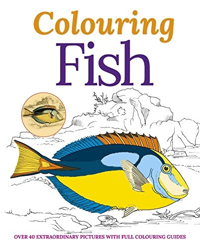 Colouring Fish
