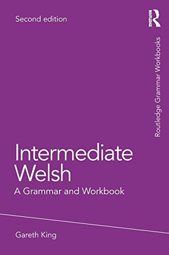 Intermediate Welsh: A Grammar and Workbook (Grammar Workbooks)