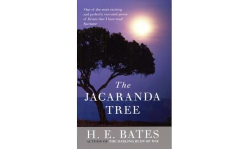 Jacaranda Tree, the