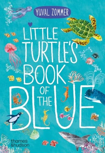 Little Turtle's Book of the Blue (Big Book) [Board book]