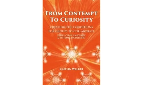From Contempt to Curiosity: Creating the Conditions for Groups to Collaborate Using Clean Language and Systemic Modelling
