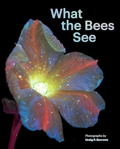 What the Bees See: A Honeybee's Eye View of the World