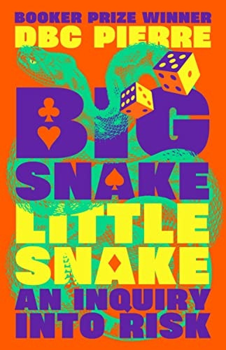 Big Snake Little Snake: An Inquiry into Risk