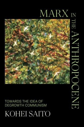 Marx in the Anthropocene: Towards the Idea of Degrowth Communism