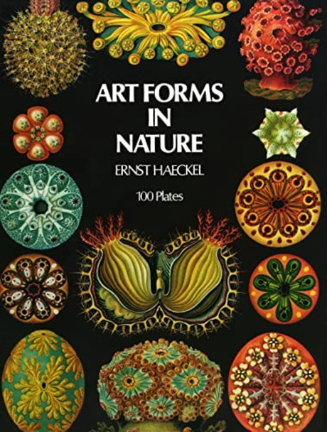 Art Forms in Nature (Picture Archives)