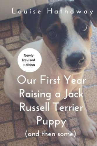 Our First Year Raising A Jack Russell Terrier (and then some)