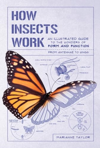 How Insects Work: An Illustrated Guide to the Wonders of Form and Function--From Antennae to Wings