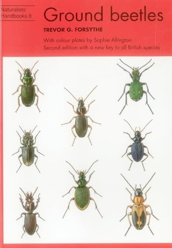 Common Ground Beetles (Naturalists' handbooks)