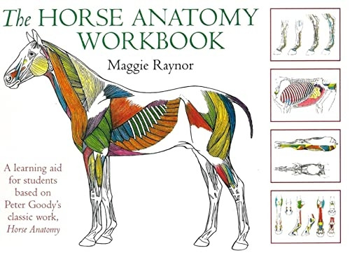 Horse Anatomy Workbook (Allen Student)