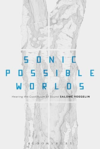 Sonic Possible Worlds