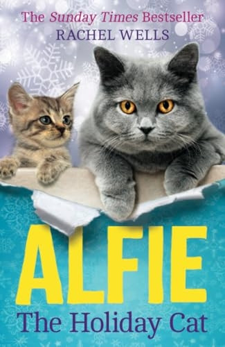 Alfie the Holiday Cat