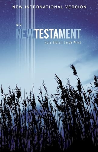NIV, Outreach New Testament, Large Print, Paperback [Large Print]
