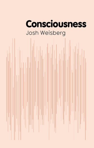 Consciousness (Polity Key Concepts in Philosophy)