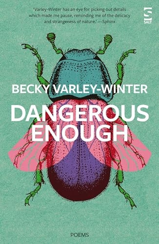 Dangerous Enough (Salt Modern Poets)