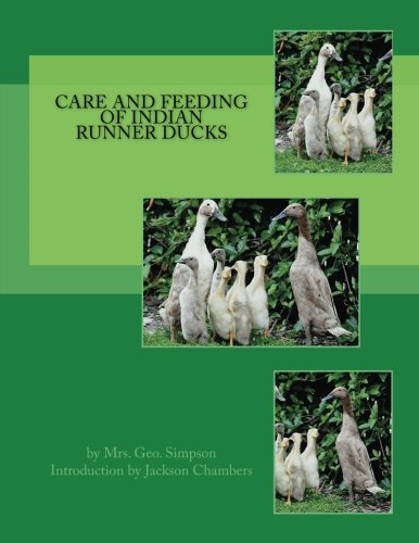 Care and Feeding of Indian Runner Ducks
