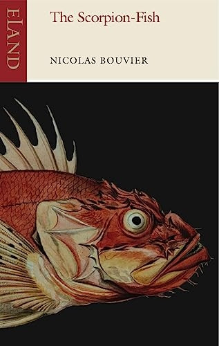 The Scorpion Fish