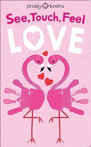 See Touch Feel Love (See Touch Feel) [Board book]