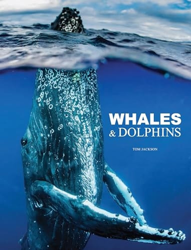 Whales & Dolphins (Animals)