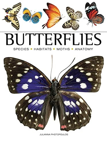 Butterflies (Mini Animals)