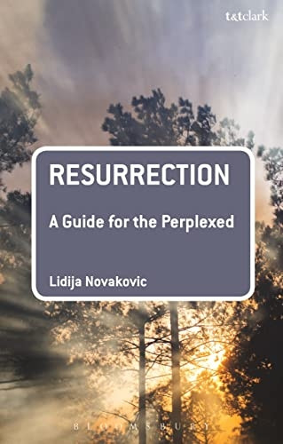 Resurrection: A Guide for the Perplexed (Guides for the Perplexed)