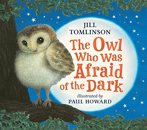 The Owl Who Was Afraid of the Dark [Board book]