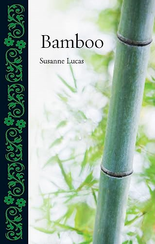 Bamboo (Botanical)