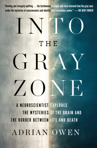 Into the Gray Zone