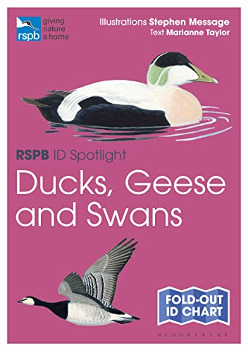 RSPB ID Spotlight - Ducks, Geese and Swans (RSPB)