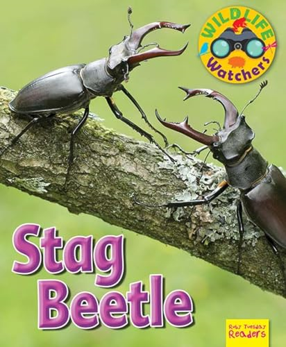 Wildlife Watchers: Stag Beetle: 2017 (Ruby Tuesday Readers)