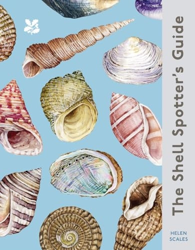 The Shell Spotter's Guide (National Trust)