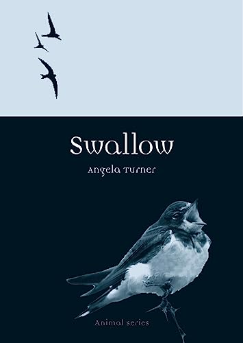 Swallow (Reaktion Books - Animal)