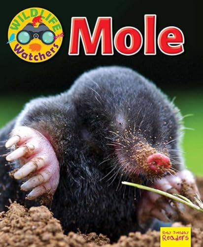 Wildlife Watchers: Mole: 2017 (Ruby Tuesday Readers)