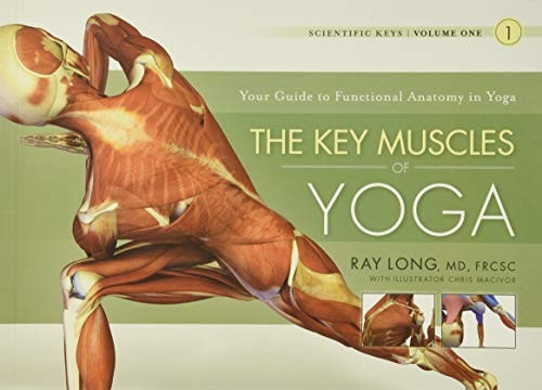 The Key Muscles of Yoga (Scientific Keys)