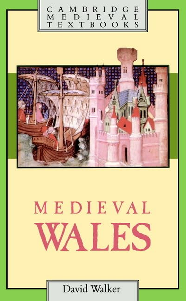 Medieval Wales (Cambridge Medieval Textbooks)