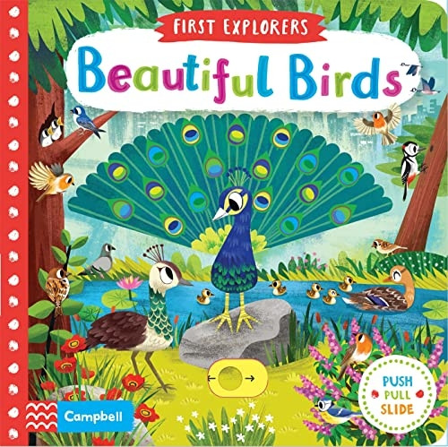 Beautiful Birds (First Explorers) [Board book]