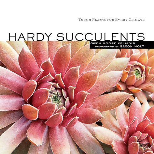 HARDY SUCCULENTS by