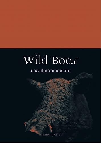 Wild Boar (Animal)
