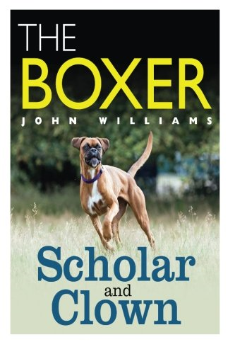 The Boxer Scholar and Clown