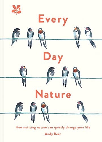 Every Day Nature: How noticing nature can quietly change your life