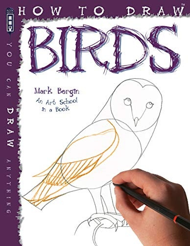 How to Draw Birds