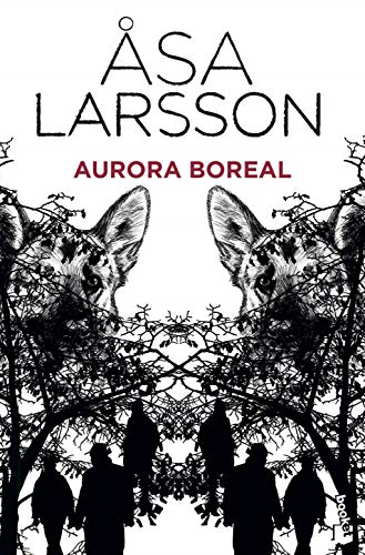 Aurora boreal