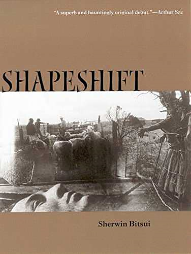 Shapeshift (Sun Tracks)