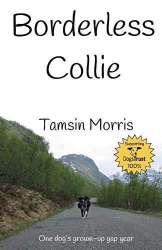 Borderless Collie: One dog's grown up gap year