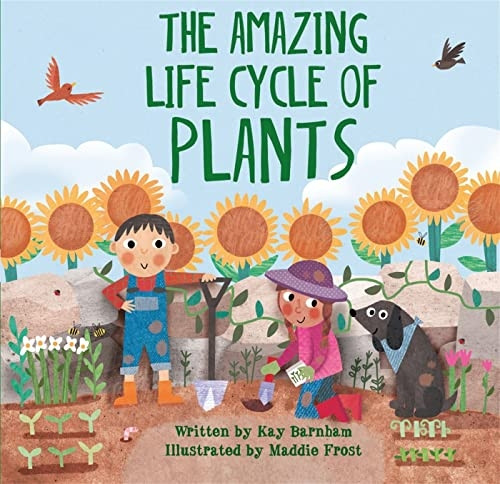 Look and Wonder: The Amazing Plant Life Cycle Story (Look and Wonder)