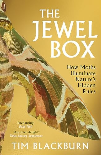 The Jewel Box: How Moths Illuminate Nature's Hidden Rules