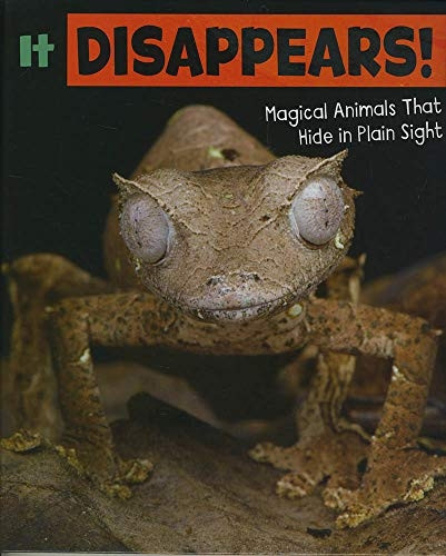 It Disappears!