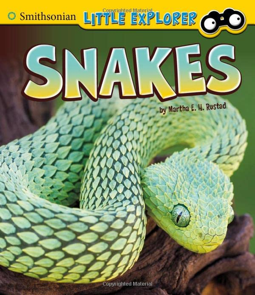 Snakes (Smithsonian Little Explorer)