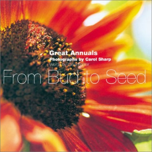 From Bud to Seed : Ten Great Annuals