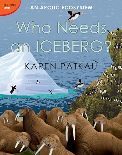 Who Needs an Iceberg?