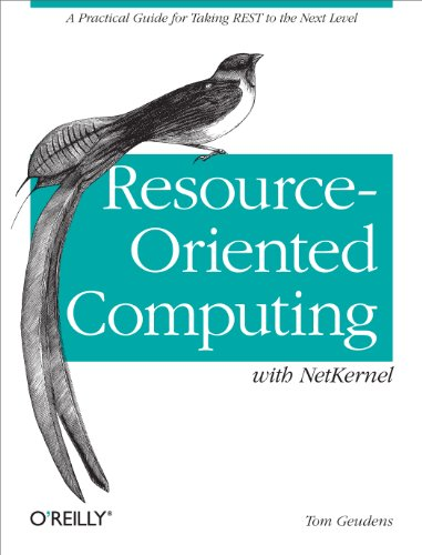 Resource-Oriented Computing With NetKernel